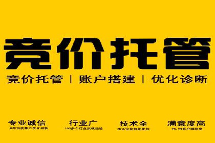 专业SEM托管服务，案例解读SEO优化策略